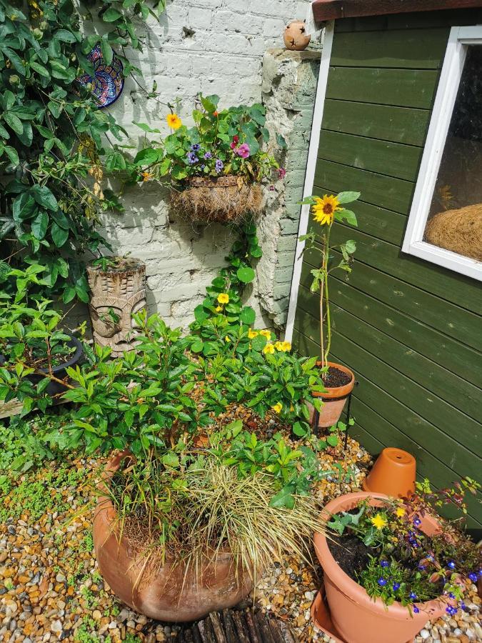 Rosslyn Court Bed & Breakfast Маргейт Екстериор снимка